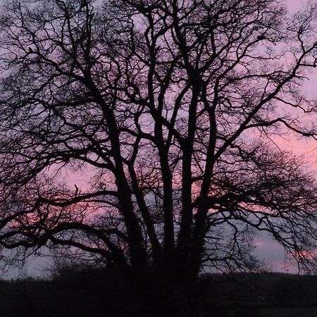 Priston Whidlecombe Farm B&B 외부 사진