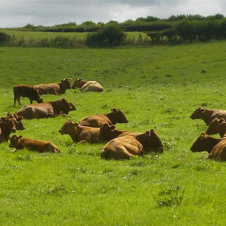 Priston Whidlecombe Farm B&B 외부 사진